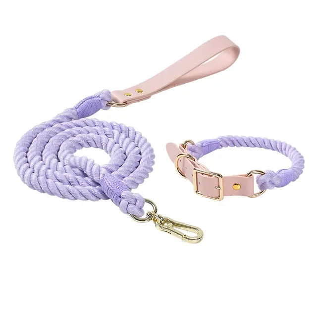 Colorful pu Leather dog Collars Pet Dog Leash Lead For Small Medium Large Dogs Pitbull Bulldog Pugs Beagle Outdoor Walking Rope