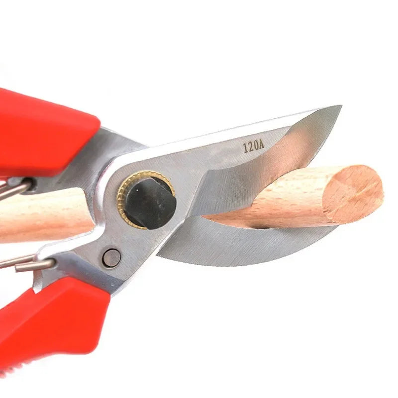 Gardening Pruners Gardening Tools Pruners Bonsai Gardening Shears Pruning Tools Grape Picking Weeds Household Potted Plants