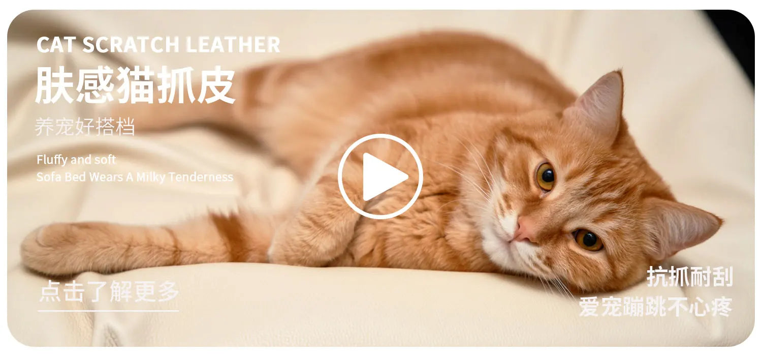 Storage Aesthetic Living Room Sofas 3 Seater 2 Seater Recliner Sofa Bed Lounge Bedroom Modern Sofa Wohnzimmer Furniture Home