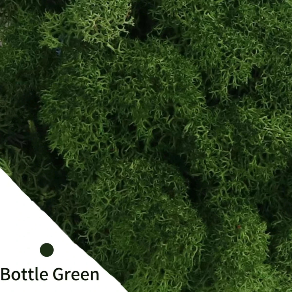 500g/1000g Mini Landscape Fake Grass Eternal Life Moss Grass Artificial Green Plants Home Garden Decoration DIY Crafts