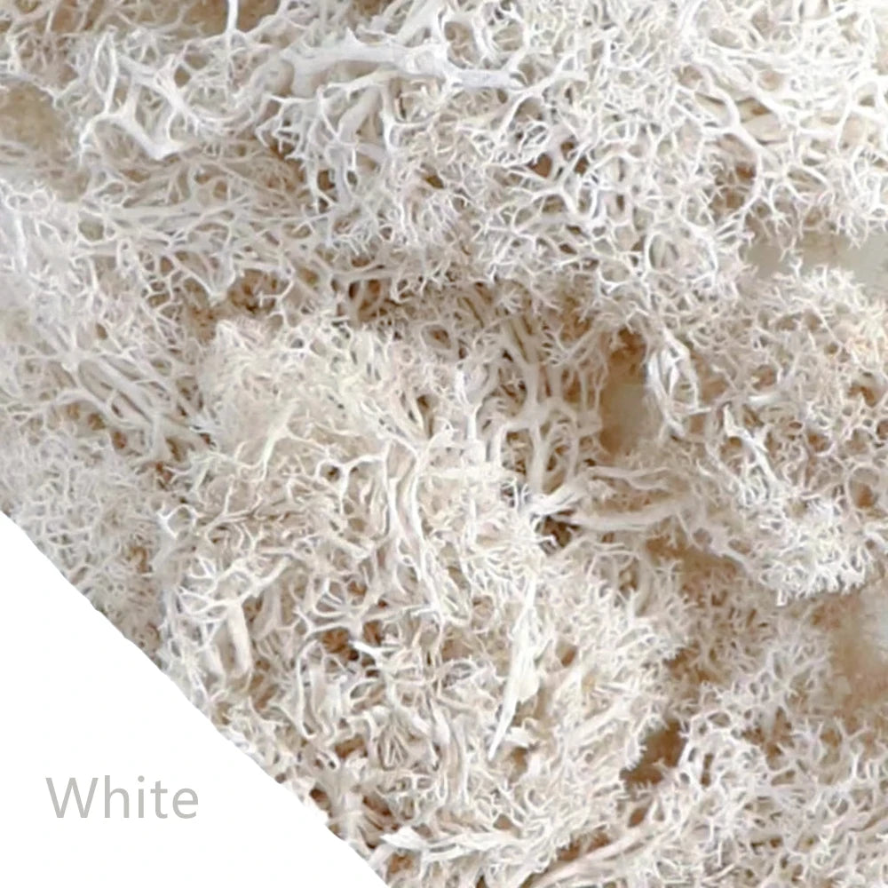 500g/1000g Mini Landscape Fake Grass Eternal Life Moss Grass Artificial Green Plants Home Garden Decoration DIY Crafts