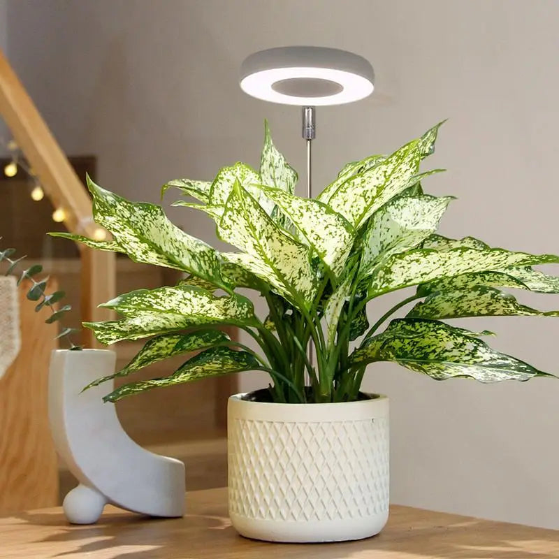 Plant Lights for Indoor Growing Sun Simulation Fill Lamp for Flower LED Full Spectrum Grow Lights for Indoor Plants with 360
