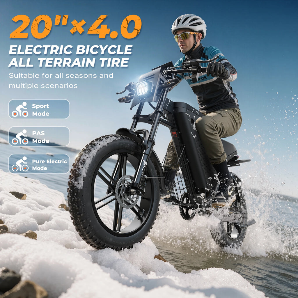VARUN X-Plorer Beast Adult E-bike,750W Motor Man's ebike 48V31.5AH Battery Electric Bike 20'' Tire All-Terrain Electric Bicycle