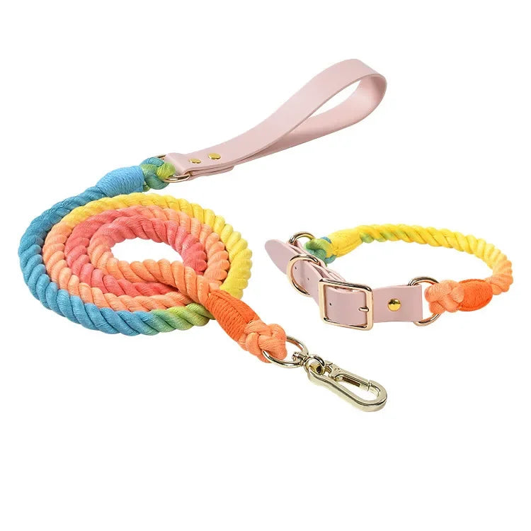 Colorful pu Leather dog Collars Pet Dog Leash Lead For Small Medium Large Dogs Pitbull Bulldog Pugs Beagle Outdoor Walking Rope