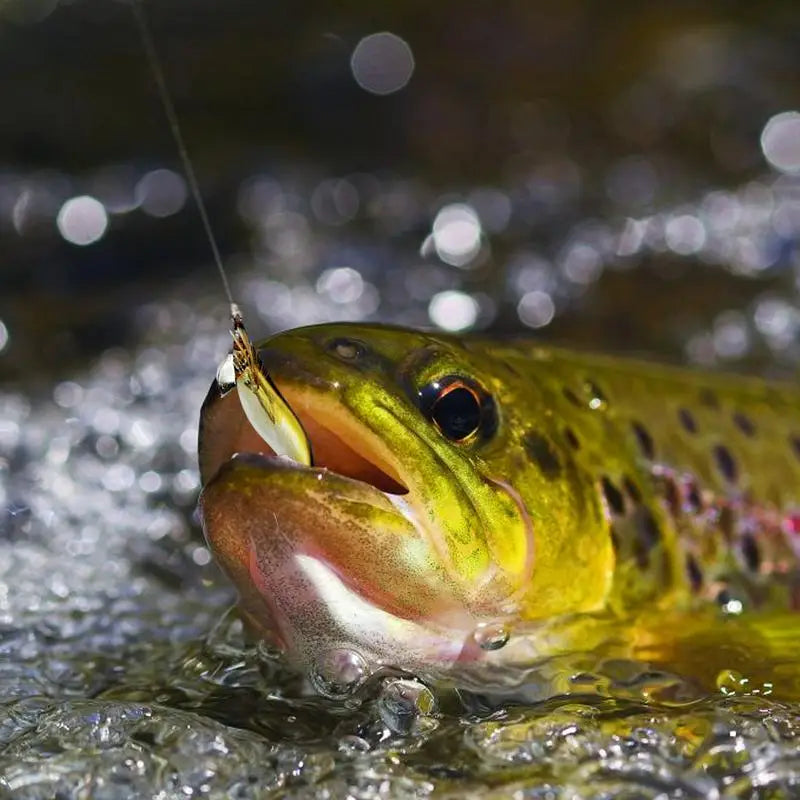 Wooden Shrimp Squid Hook Fluorescent Artificial Fishing Baits Realistic Simulation Fish Luring Tools For Sea Freshwater