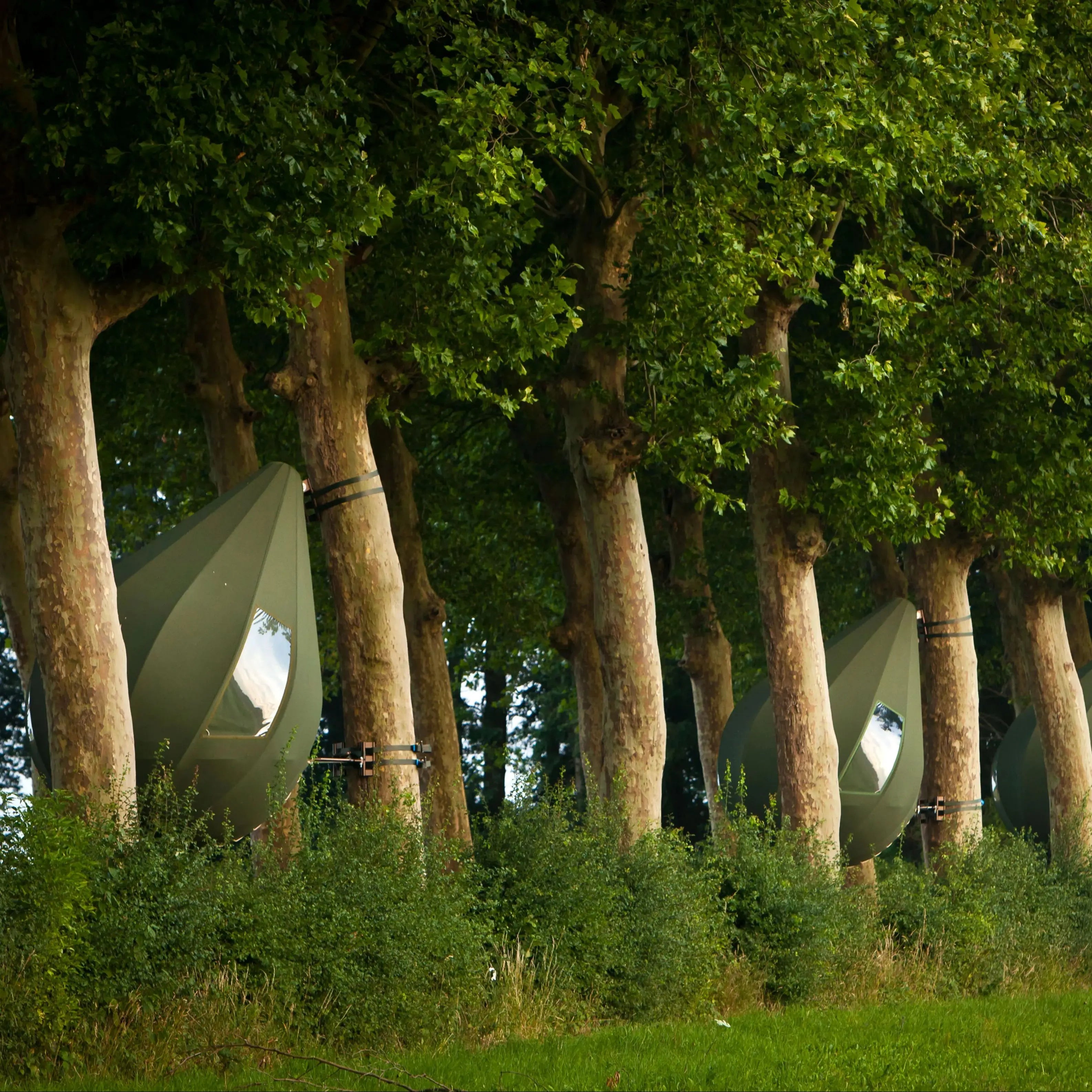 Hotel Tent Geodesic Dome Manor greenhouse Tent Leisure Resort Vacation Outdoor Glamping Round Tent Transparent Starry Sky Luxury