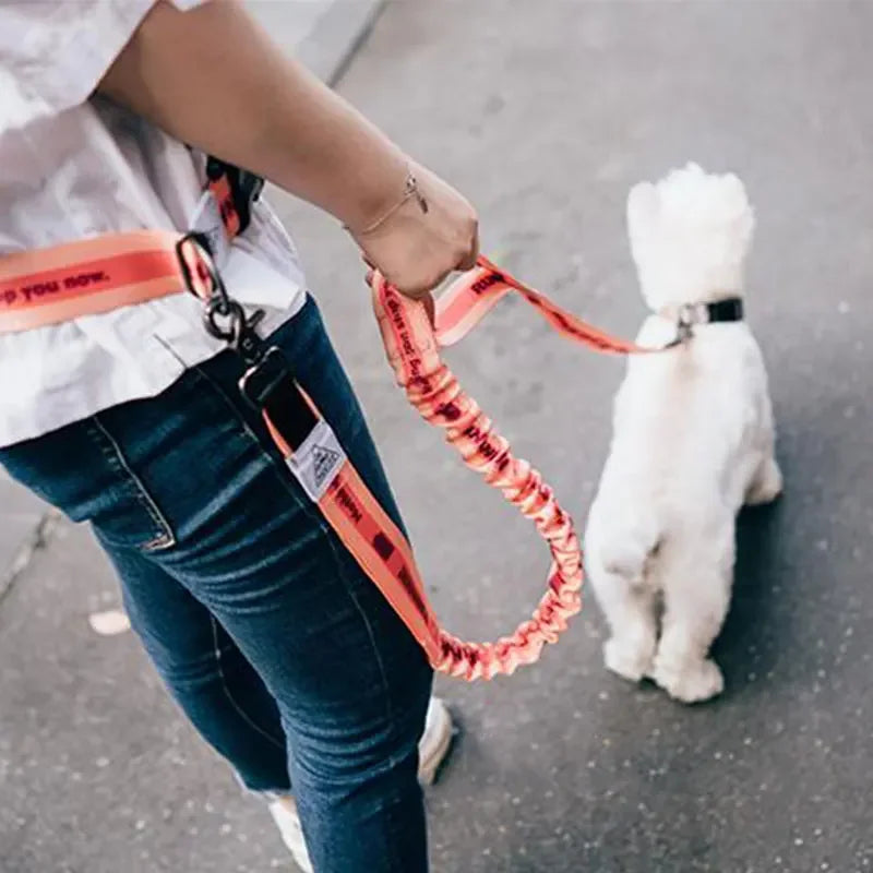 2022 New Adjustable Hand Free Dog Leash for Dog Pet Walking Running Jogging Dog leashes Waist Belt Chest Strap Traction Rope Dog
