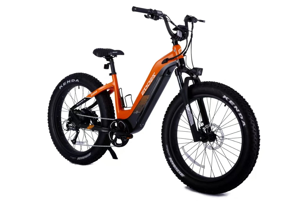 HEZZO Electric Bike for Adults 750W Peak Motor 20MPH Ebike 52V 17AH Battery Adult Electric Bicycles 26" x 4.0 Fat Tires 60 Miles